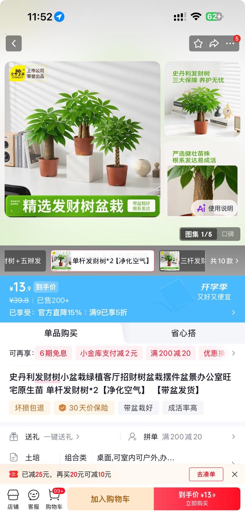 单杆发财树*2棵带盆 13.9元 - 86线报