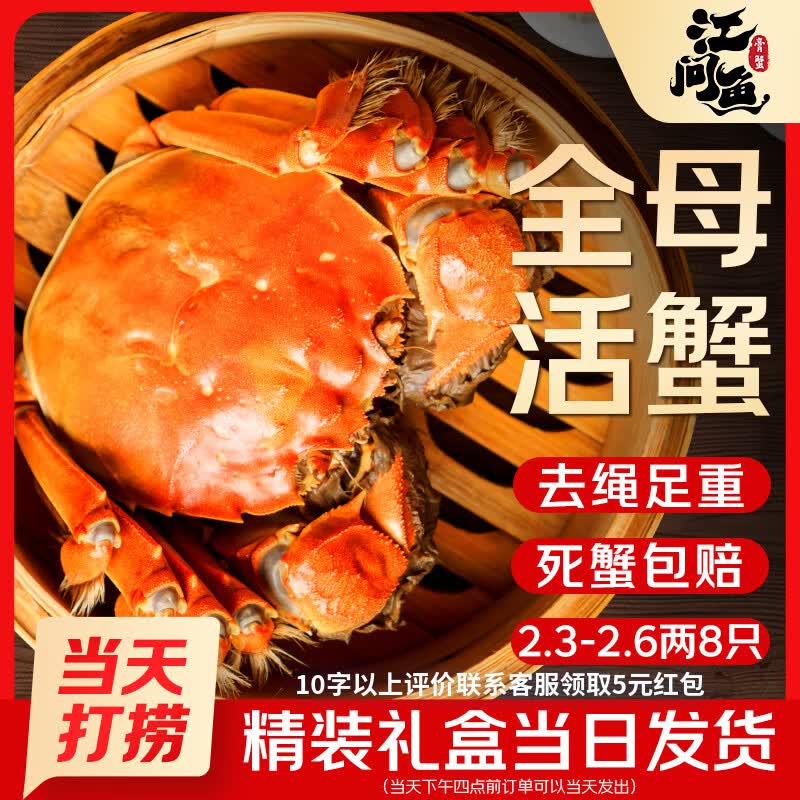 江问鱼现货全母大闸蟹2.3-2.6两8只礼盒装去绳足重死蟹包赔 93.8元 - 线报酷