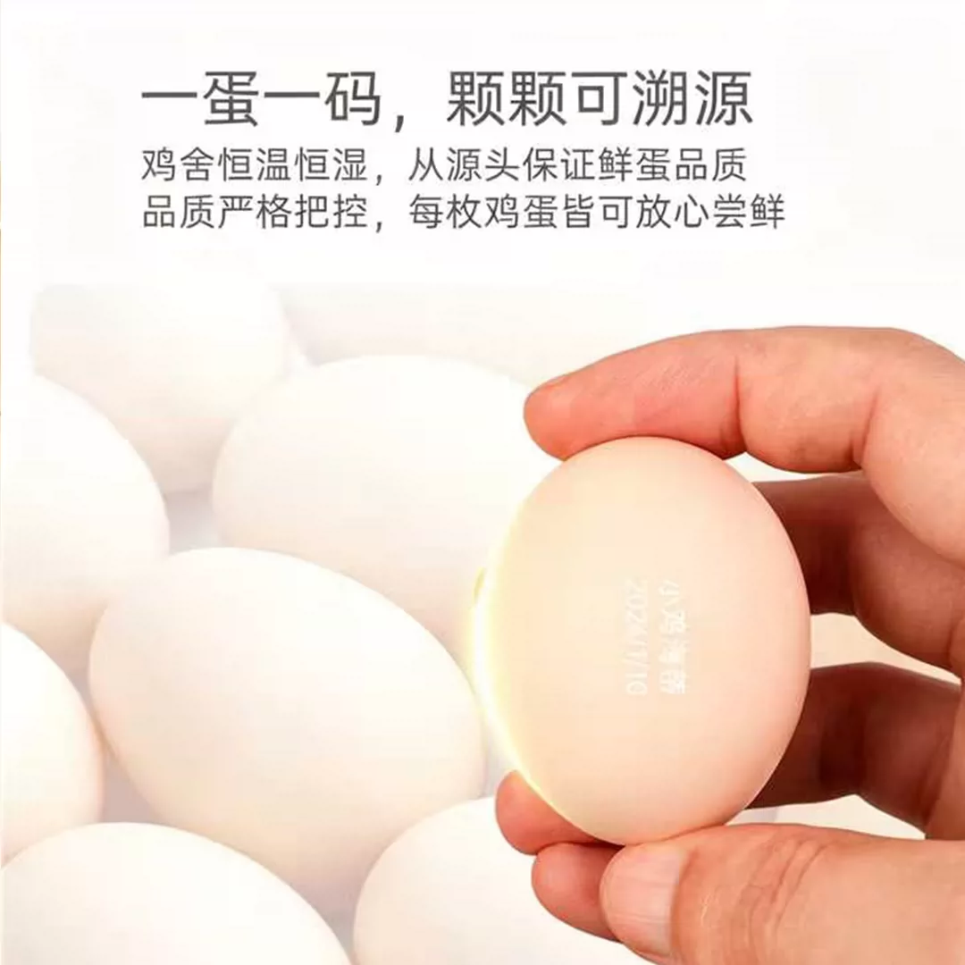 小鸡海蒂叶黄素可生食鸡蛋 15.9元 - 86线报