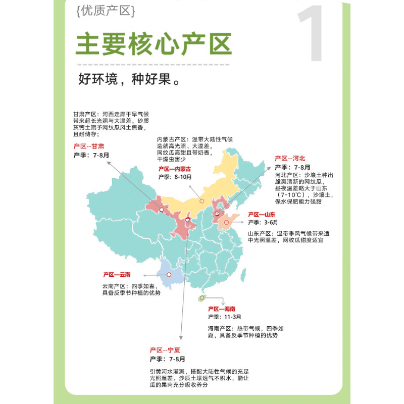 京鲜生宁夏蜜蜂授粉牛三网纹瓜单果1.5斤起净重4-5斤2粒装 16.9元 - 折送网