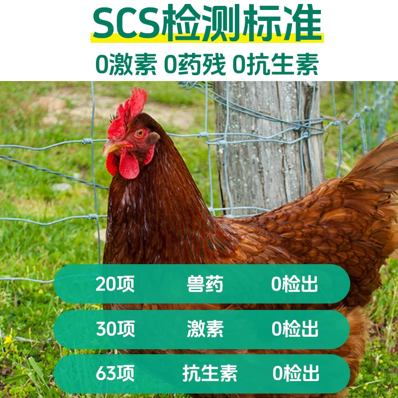 大用好味道老母鸡土鸡农家散养新鲜整只走地鸡跑山鸡正宗土鸡草鸡 26.8元 - 86线报