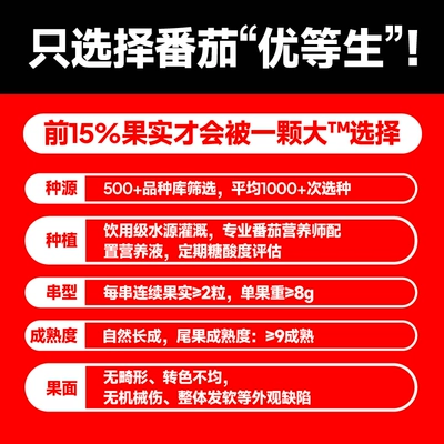 一颗大玲珑串收樱桃番茄1kg 18.13元 - 86线报 一颗大玲珑串收樱桃番茄1kg 18.13元 - 86线报