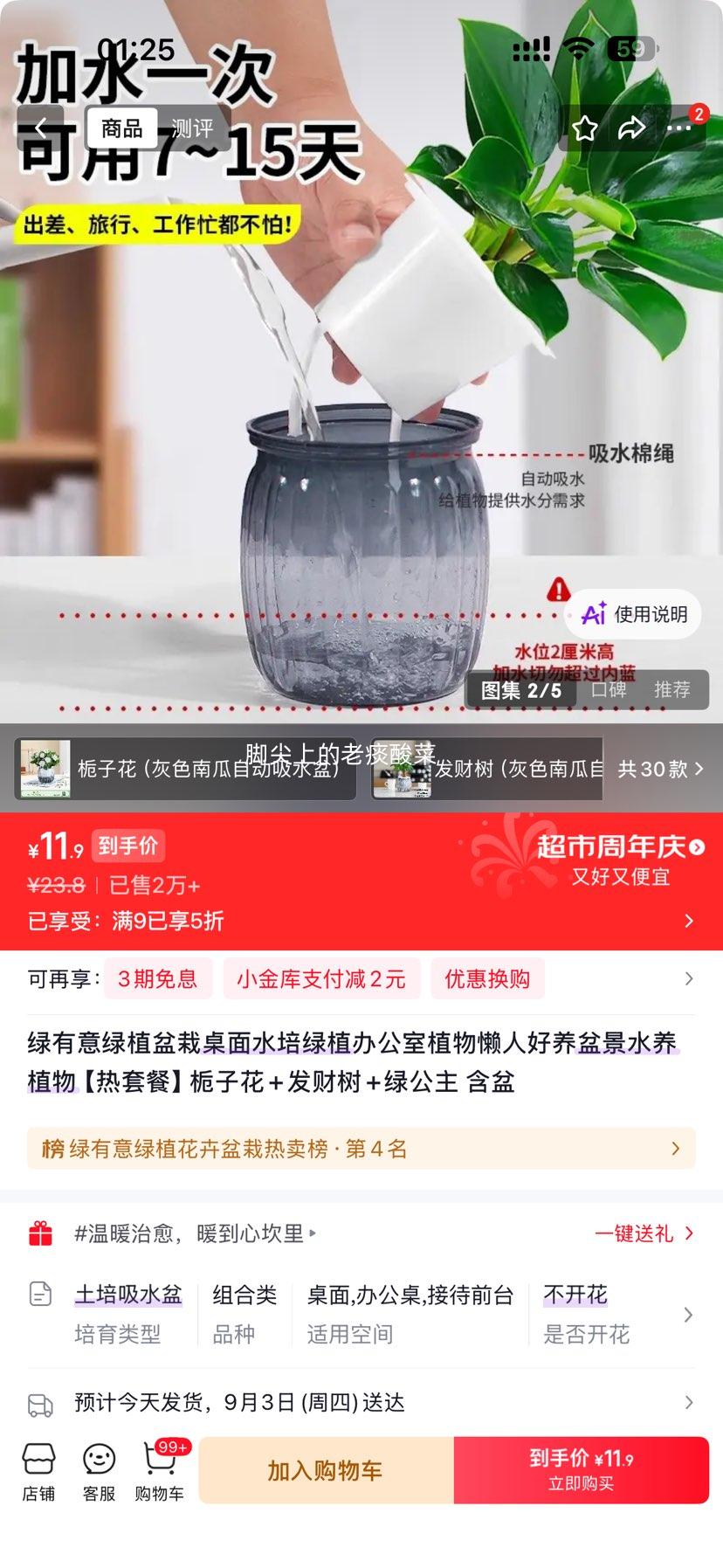 绿有意栀子花+发财树+绿公主水培盆景3棵含盆 11.9元 - 86线报