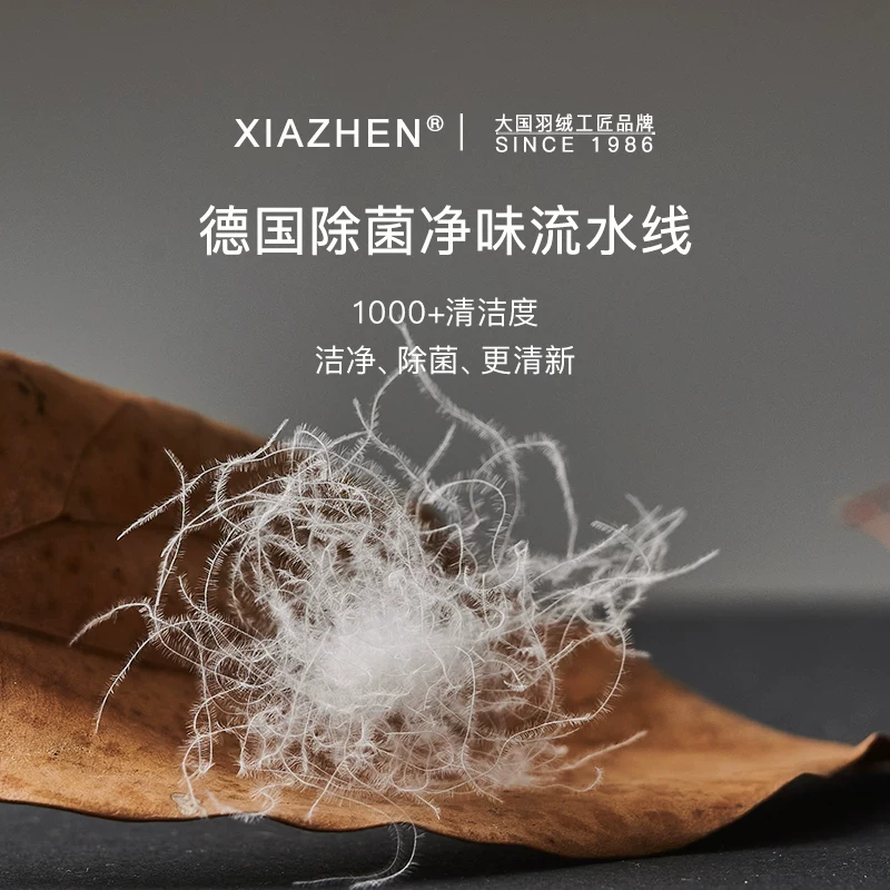 霞珍95白鹅绒AAAAA级空调被150X210CM 528.81元 - 86线报