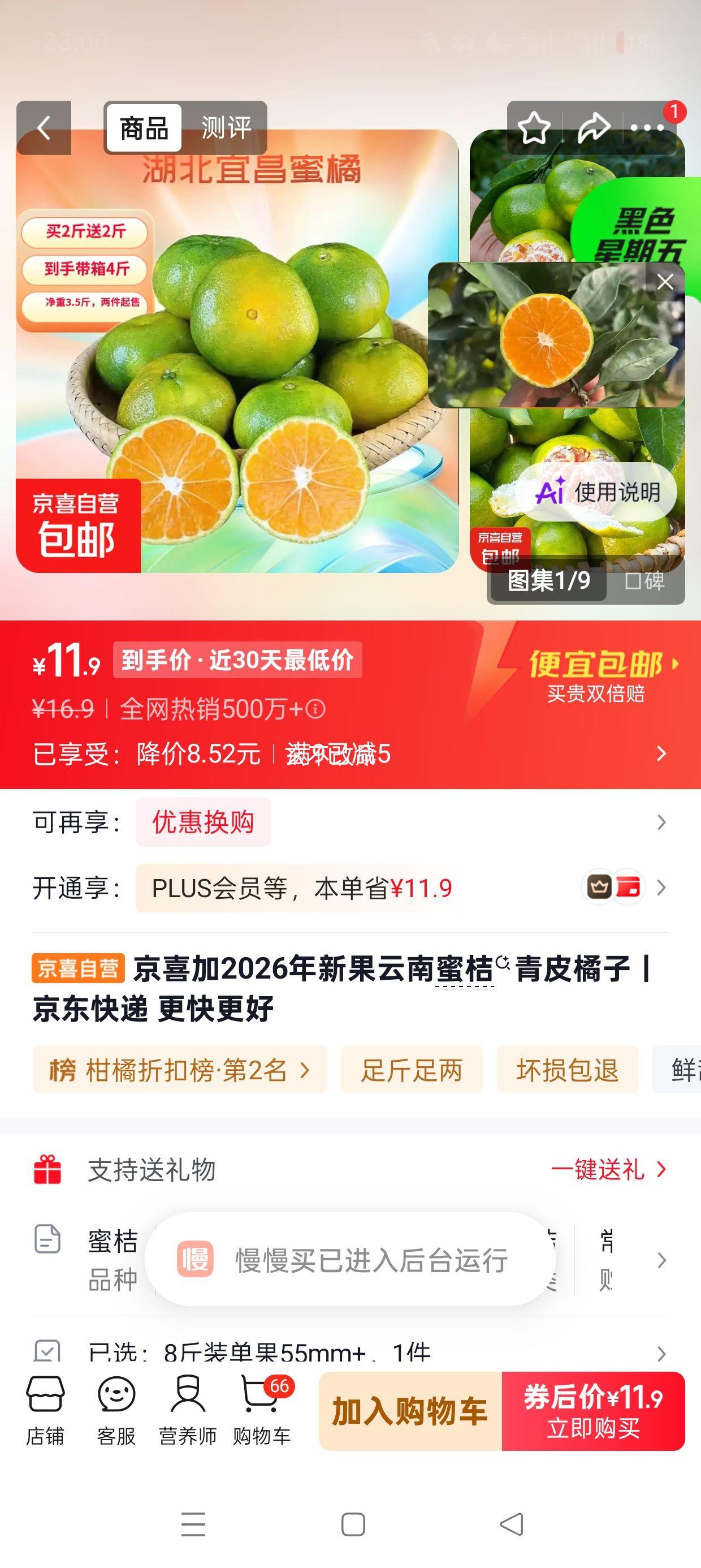 京喜2026年新果云南蜜桔青皮橘子8斤装单果55mm+ 11.9元 - 86线报
