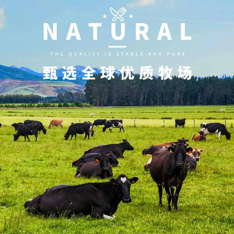 西捷原切金钱腱牛肉牛腱子芯酱卤生牛肉食材生鲜冷冻牛腿肉 118.15元 - 86线报 西捷原切金钱腱牛肉牛腱子芯酱卤生牛肉食材生鲜冷冻牛腿肉 118.15元 - 86线报
