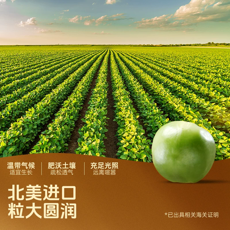甘源安格斯牛肉青豌豆480g袋装 6.19元 - 线报酷