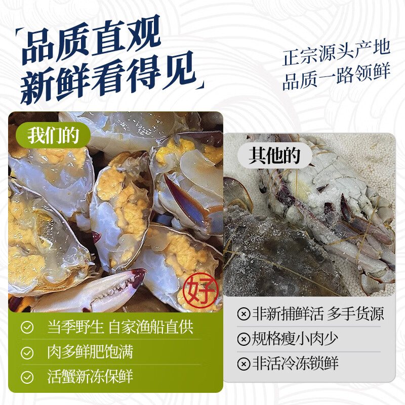森农乐舟山梭子蟹特大野生螃蟹3-5两/只净重3斤当季船供 69.01元 - 86线报