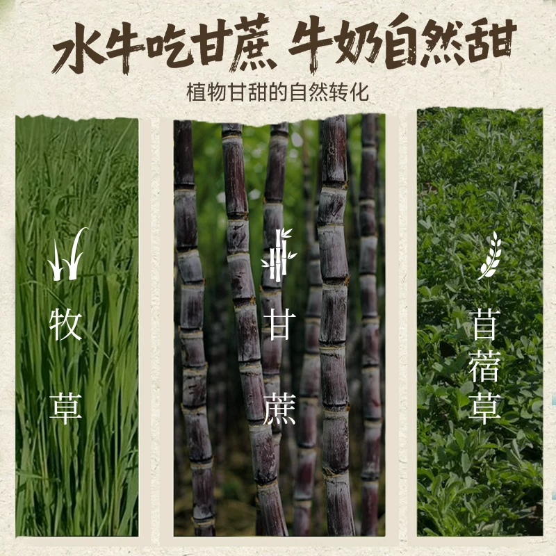 认养吃甘蔗的水牛奶180ml*10盒 19.99元 - 86线报