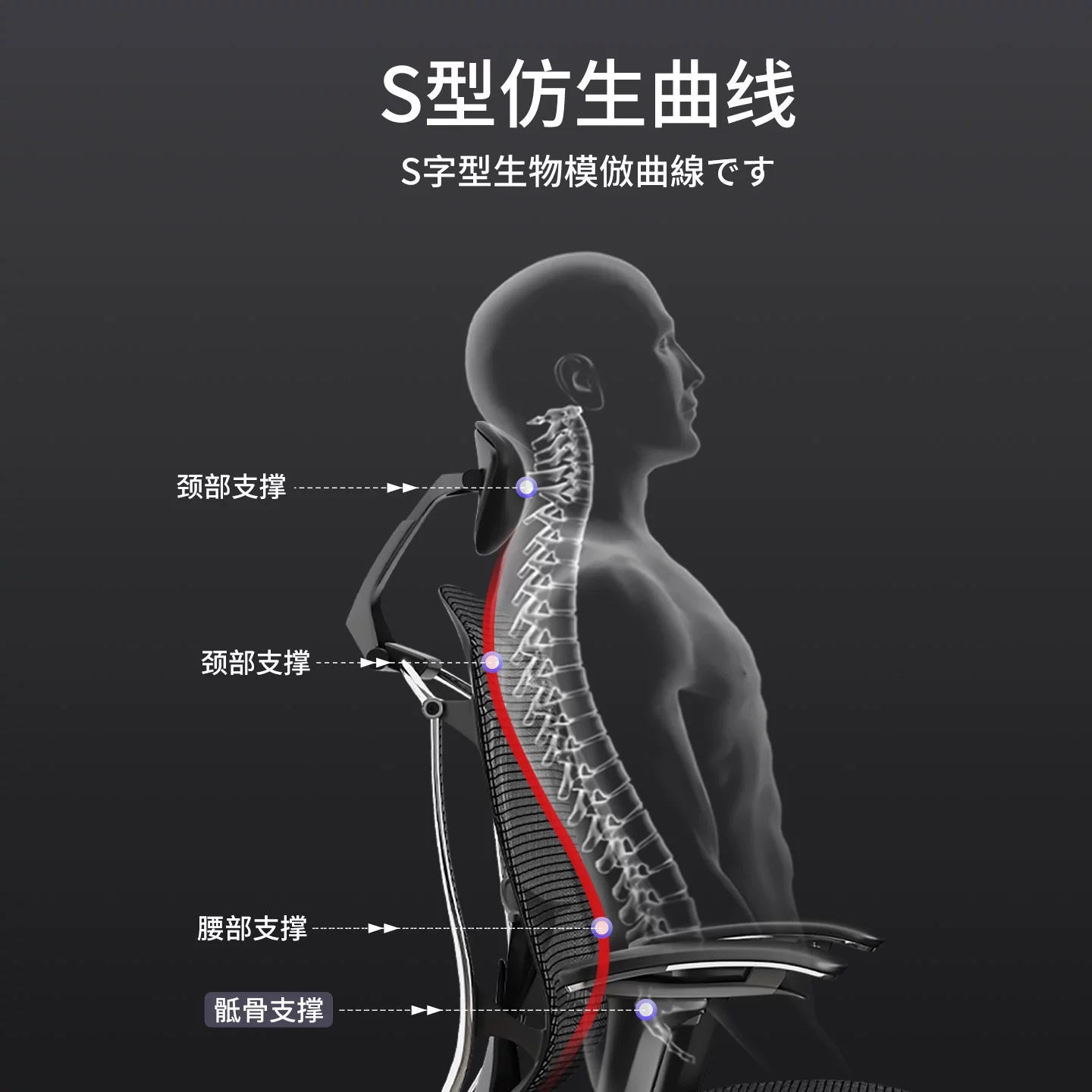 冈村contessaⅡ进口2代人体工学办公电脑椅 8217元 - 线报酷