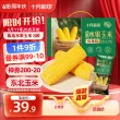 线报图片