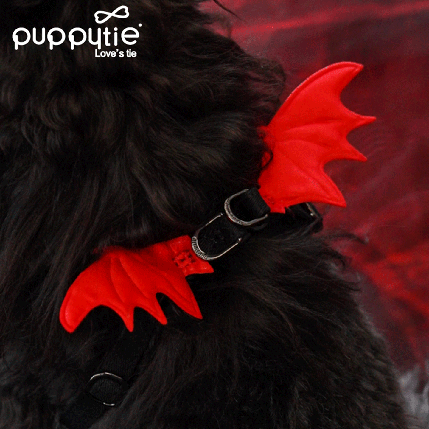 PUPPYTIE宠物牵引绳背心式小型犬外出可调节小恶魔遛狗绳狗胸背带 82.81元 - 86线报 PUPPYTIE宠物牵引绳背心式小型犬外出可调节小恶魔遛狗绳狗胸背带 82.81元 - 86线报