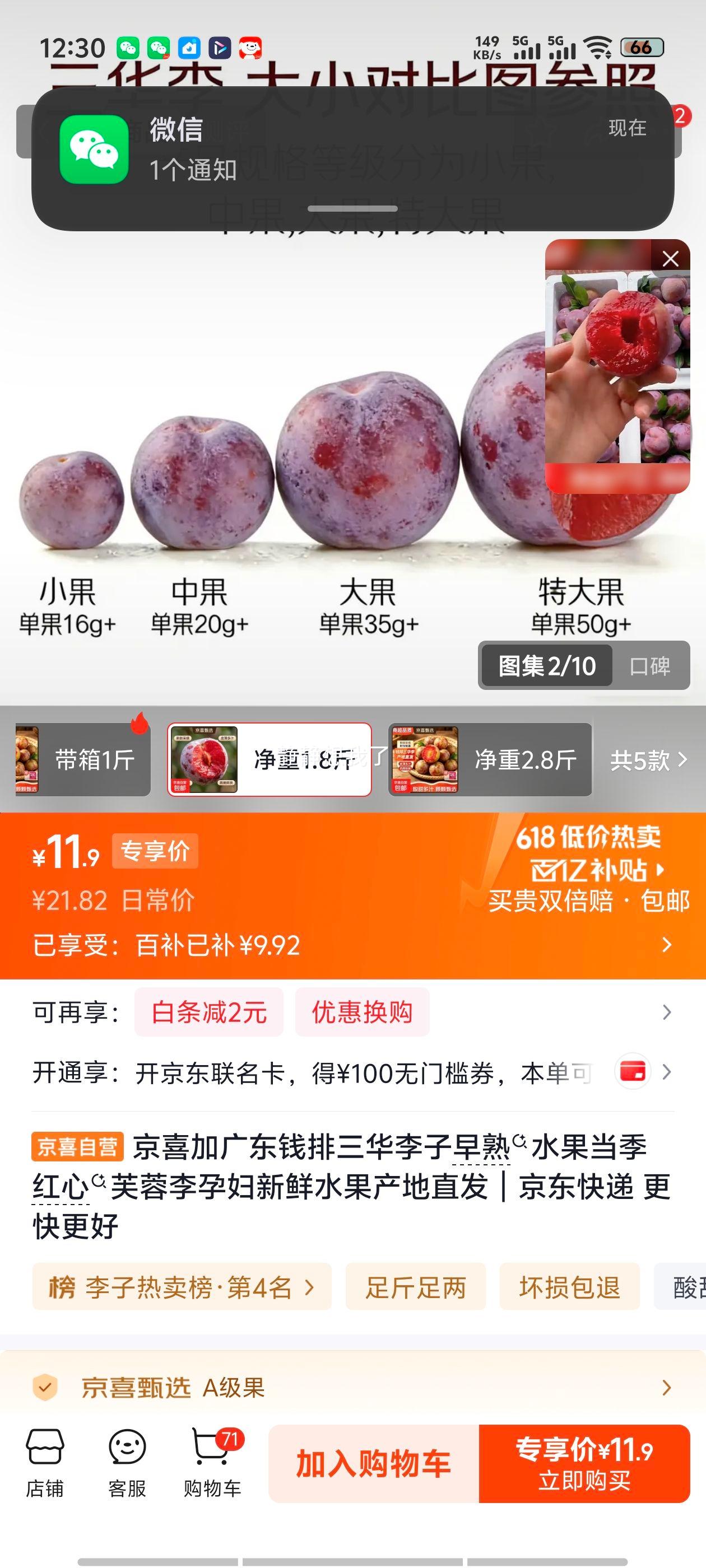 京喜加广东钱排三华李子红心芙蓉李净重1.8斤中果 11.9元 - 86线报