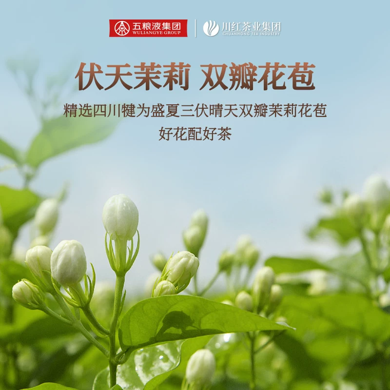 林湖飘雪特级花茶125g买赠五粮春粮食酒45度500mL 119元 - 折送网
