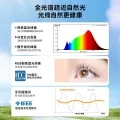 雷士 Lighting照明现代简约客厅灯led北欧吸顶灯具小米全屋智能套餐卧室 215元 图片 2