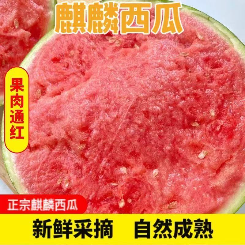 正宗云南麒麟甜王西瓜有籽无籽随机发货净重5-7斤麒麟 9.9元 - 86线报