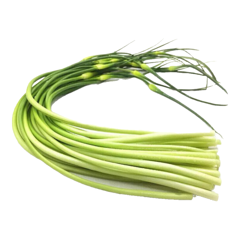 长蒜苔生鲜蔬菜净重0.9斤 1.01元 - 线报酷