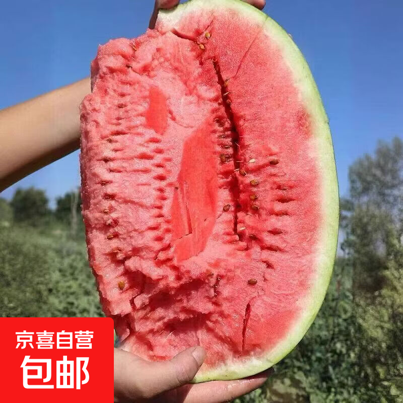 正宗宁夏中卫硒砂瓜头茬新鲜石缝大西瓜净重14-16斤 34.9元 - 86线报