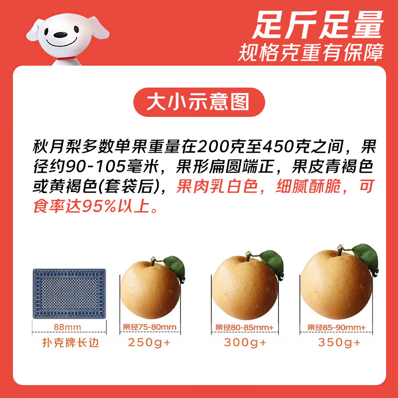 京觅 山东莱阳秋月梨 净重5斤 单果260g+ 新鲜水果 源头直发 - 86线报