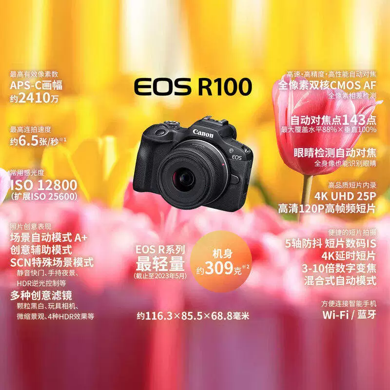 佳能R100APS-C画幅无反微单相机RF 18-45mm STM镜头套机 2464.15元 - 86线报