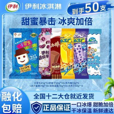 伊利小雪生奶提子克力棒冰家庭超值装50支 38.92元 - 线报酷