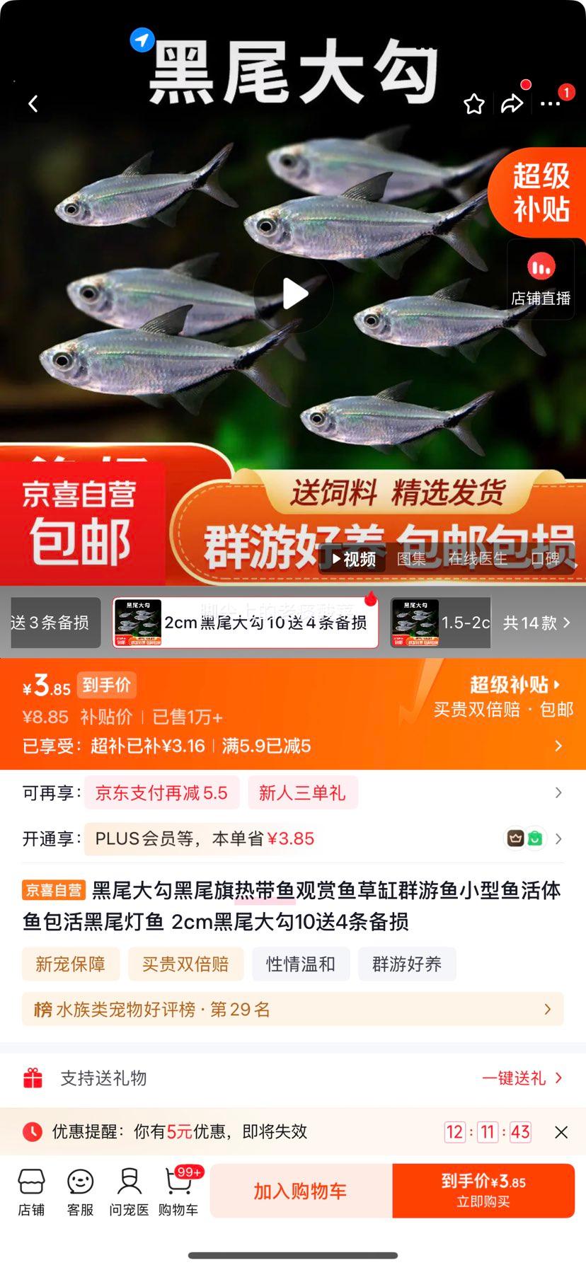黑尾大勾热带观赏鱼2cm活体包活10条送4条共14条 3.85元 - 线报酷