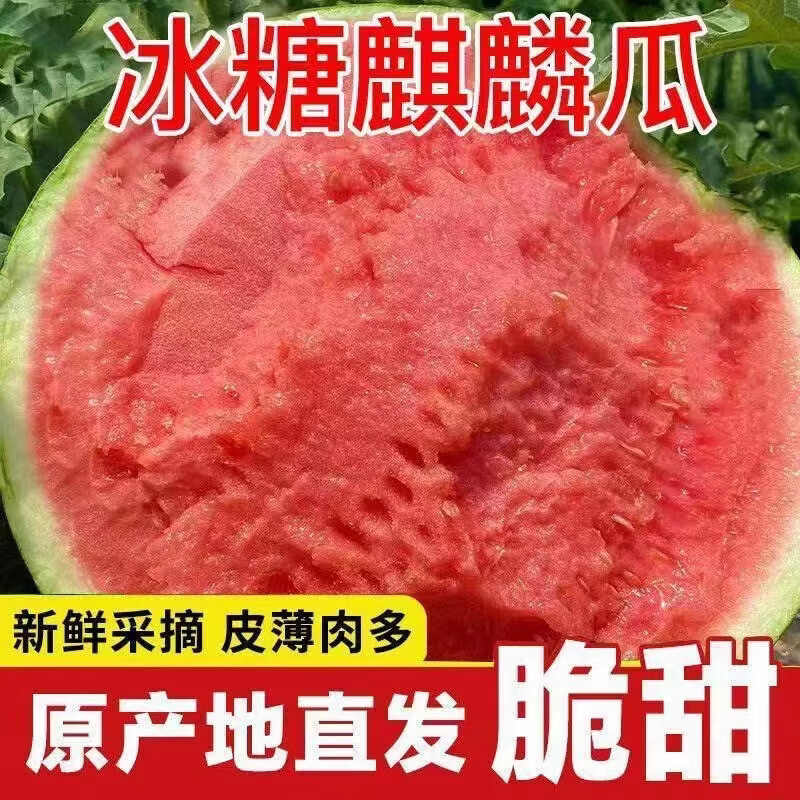 正宗麒麟西瓜8424超甜薄皮无籽7-8斤新鲜水果 18.9元 - 86线报