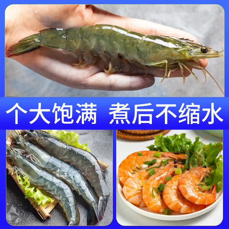 虾有虾途特大虾鲜活冷冻青岛大虾3斤 58.48元 - 86线报 虾有虾途特大虾鲜活冷冻青岛大虾3斤 58.48元 - 86线报