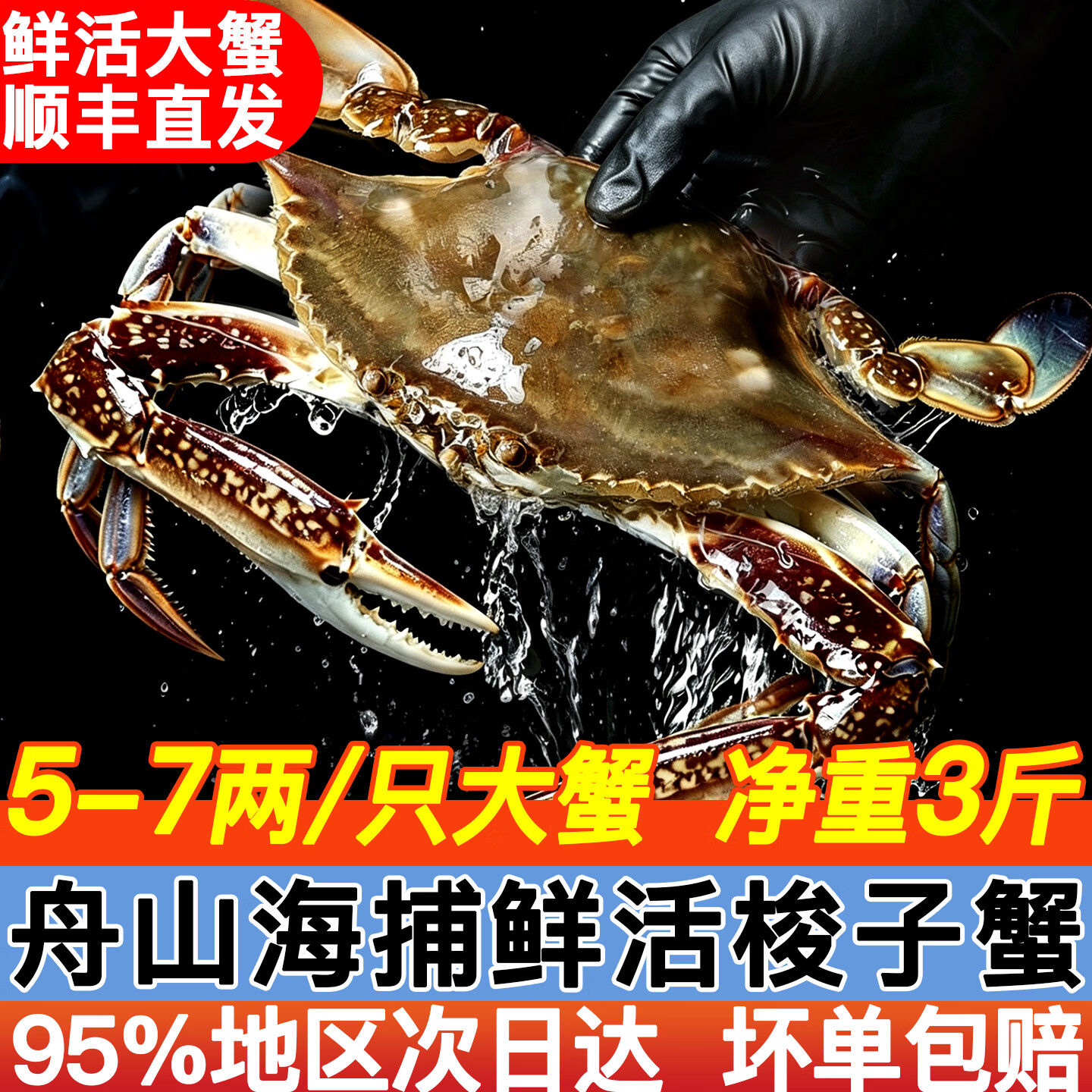 大海船说舟山梭子蟹活鲜海蟹5-7两/只3斤 169元 - 86线报