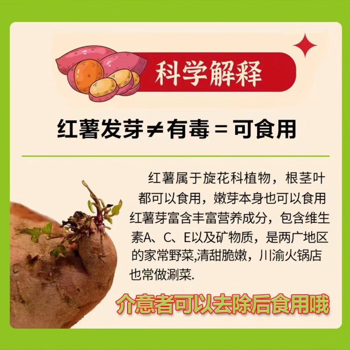 京百味山东四色蜜薯组合净重5斤源头直发 20.9元 - 86线报