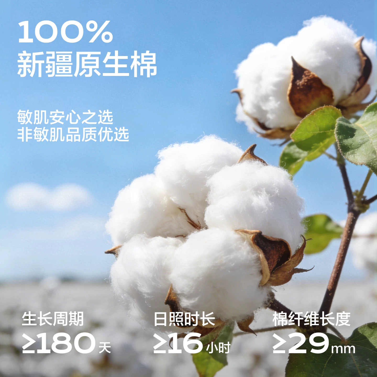 巴迪高一次性内裤女纯棉无菌旅行免洗短裤产妇月子大码全棉便携日抛底裤 12.9元 - 86线报 巴迪高一次性内裤女纯棉无菌旅行免洗短裤产妇月子大码全棉便携日抛底裤 12.9元 - 86线报