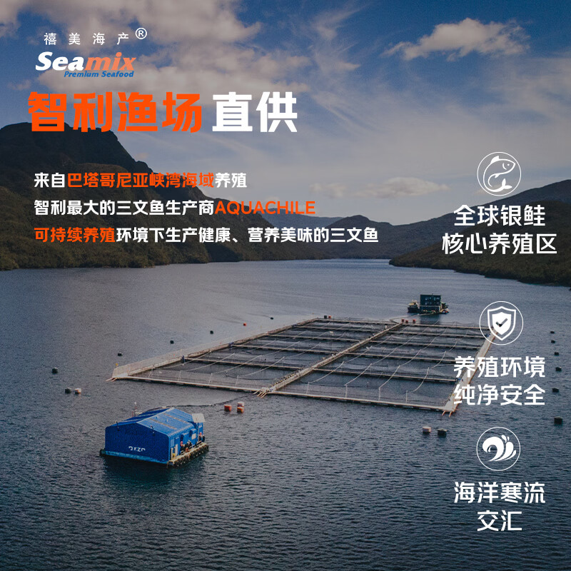 Seamix冷冻三文鱼排400g银鲑鱼排原切段2-3块装 26.93元 - 86线报