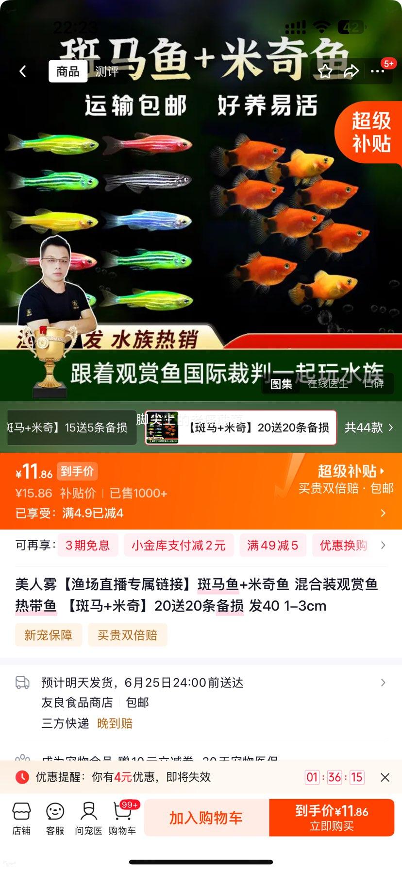美人雾斑马鱼+米奇鱼混合装观赏热带鱼1-3cm发40条 11.86元 - 86线报