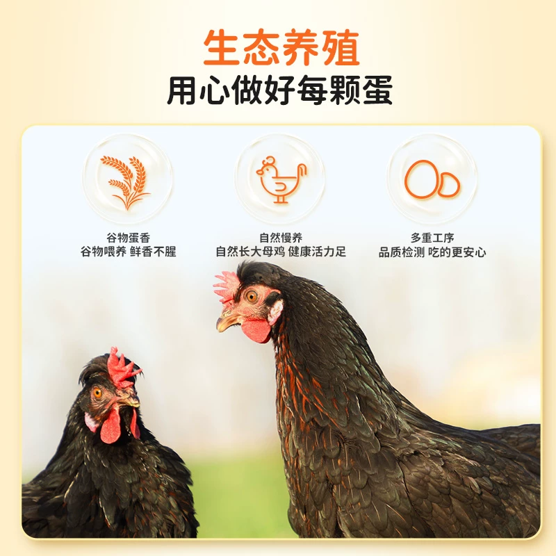 好念头黑鸡开产小蛋可生食 28.85元 - 86线报 好念头黑鸡开产小蛋可生食 28.85元 - 86线报