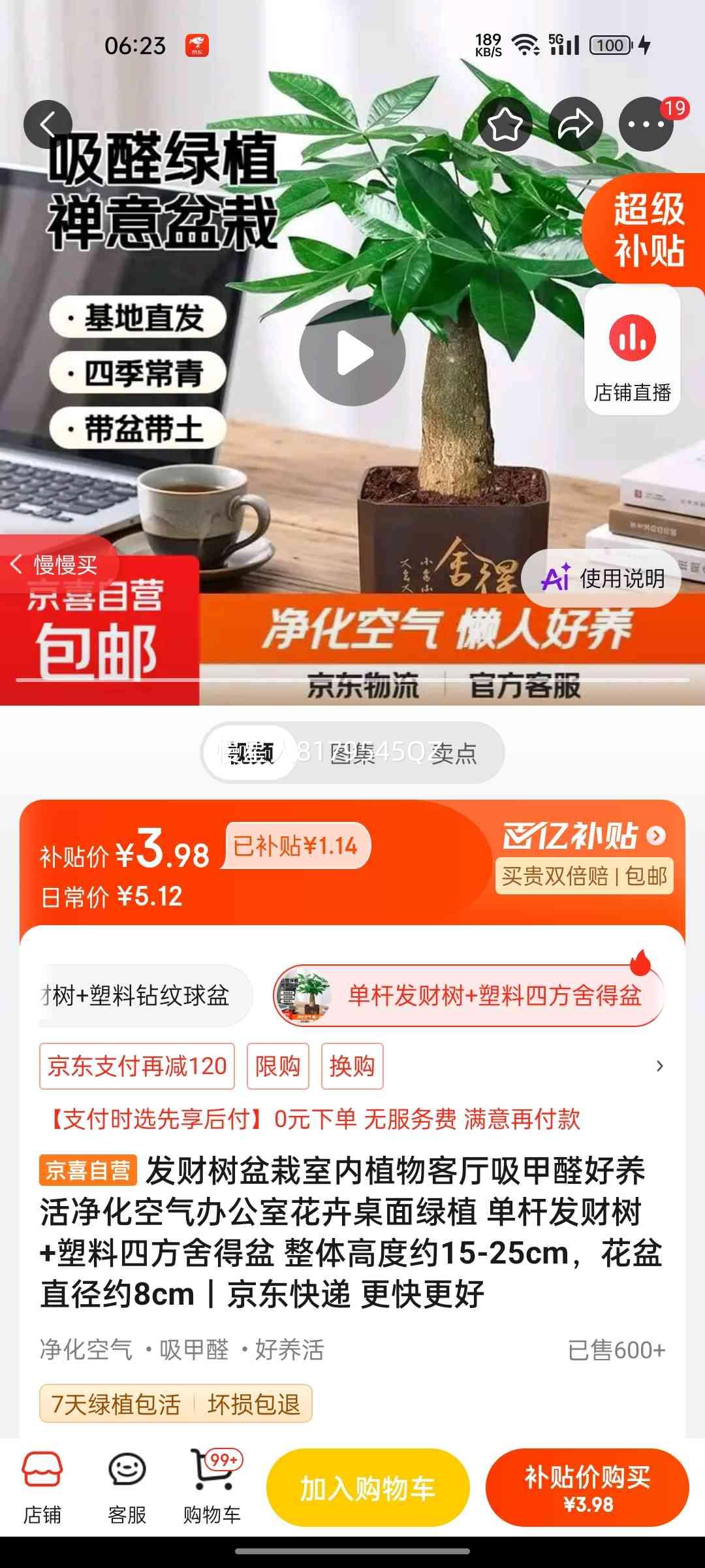 发财树盆栽室内绿植吸甲醛净化空气单杆+塑料四方盆15-25cm 3.98元 - 86线报