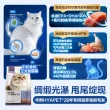 线报图片