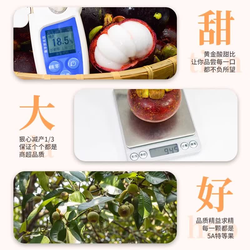 梦宛怡 山竹新鲜水果5-6A 净重3斤精选装 券后29.9元 满49减10元 - 86线报