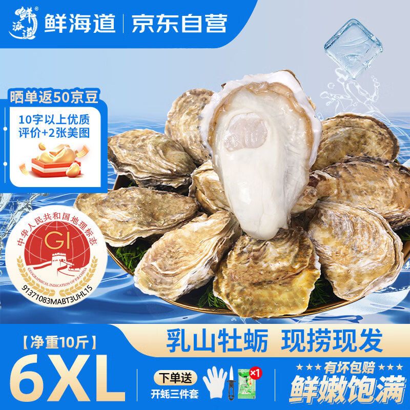 鲜海道 鲜活乳山生蚝 6XL 净重10斤 12-18只 64.91元 - 线报酷