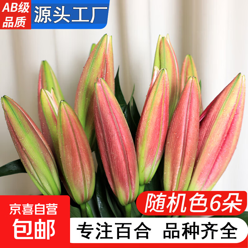 AB级优质香水百合鲜花水培插花百合花6朵+保鲜剂 8.9元 - 线报酷