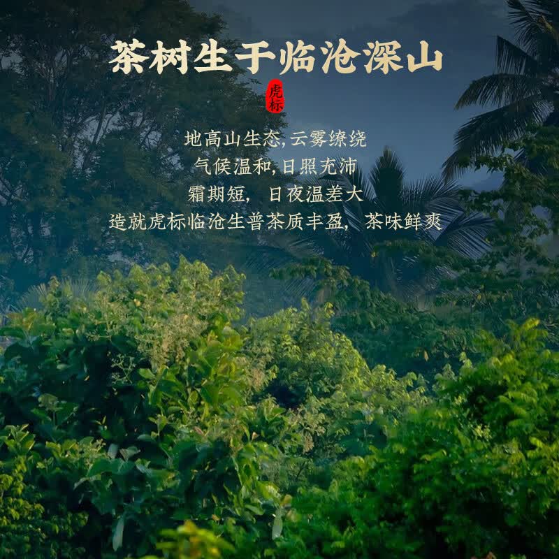 虎标茶虎标茗茶普洱茶生普洱茶早春头采茶临沧普洱茶饼200g礼盒装 59.79元 - 86线报