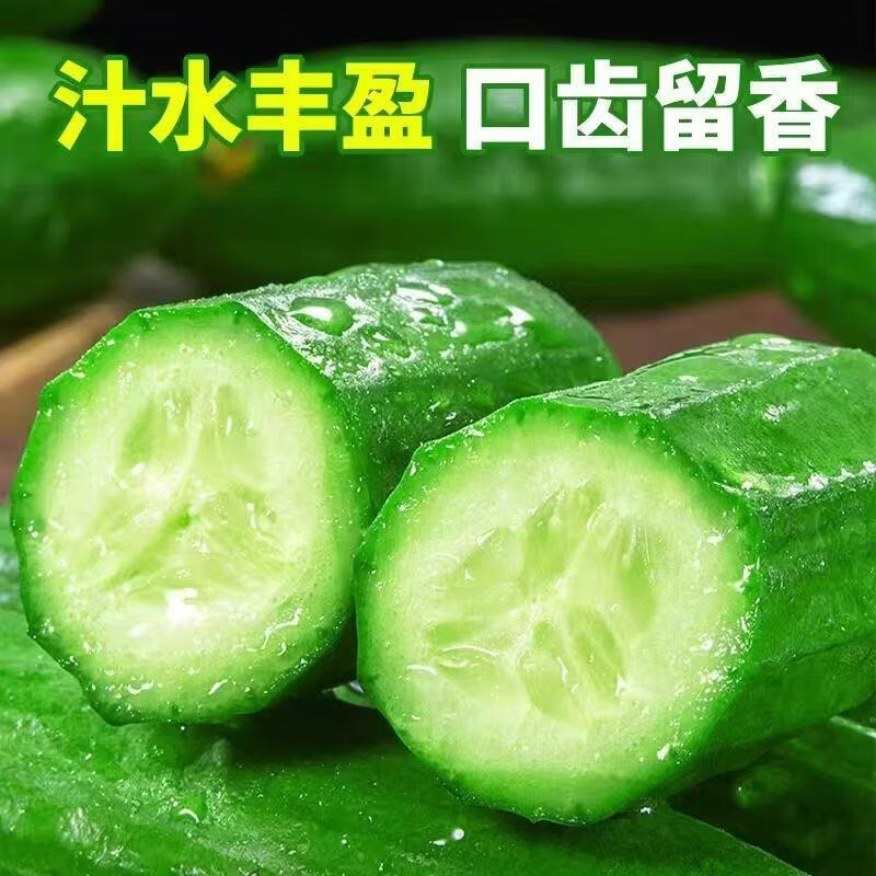 农家自生现摘水果小黄瓜2斤带箱 7.99元 - 线报酷