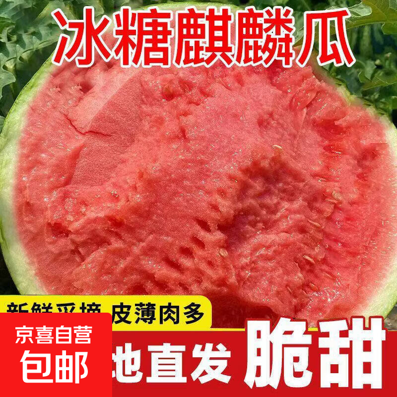 冰糖正宗麒麟西瓜8424脆甜薄皮5-6斤 9元 - 美泡泡 冰糖正宗麒麟西瓜8424脆甜薄皮5-6斤 9元 - 美泡泡