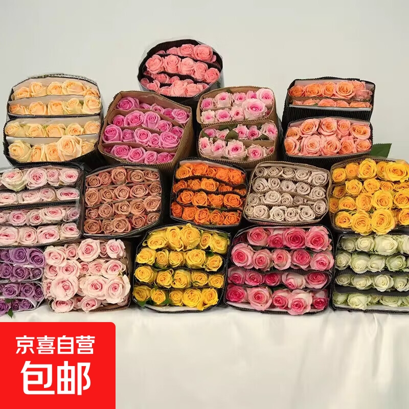 玫瑰花鲜切花束云南昆明基地直发新年鲜花批发随机10枝 4.9元 - 86线报