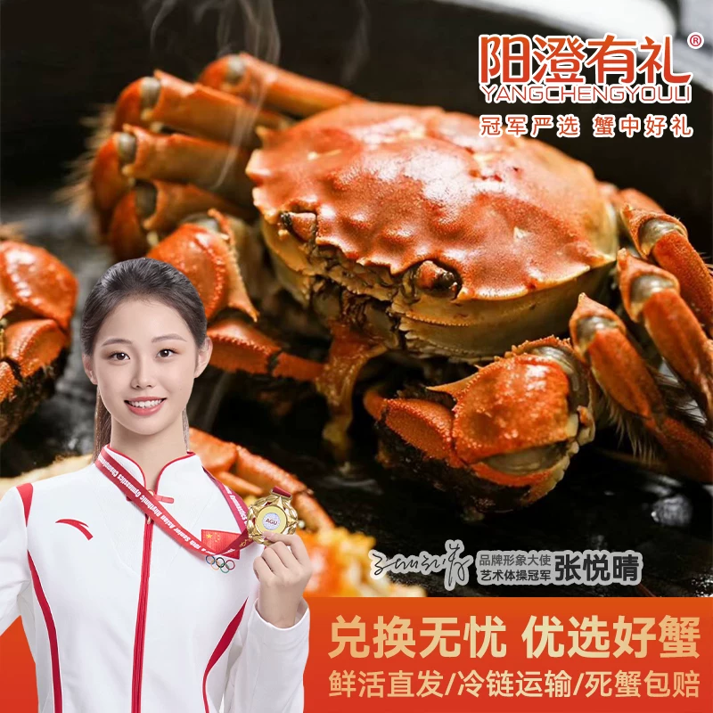 阳澄有礼大闸蟹高档礼盒螃蟹卡券中秋节送礼礼品湖鲜 99元 - 86线报 阳澄有礼大闸蟹高档礼盒螃蟹卡券中秋节送礼礼品湖鲜 99元 - 86线报