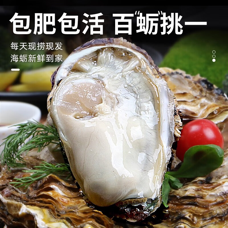 缤鲜特大现捕生蚝4XL5斤 39.6元 - 86线报