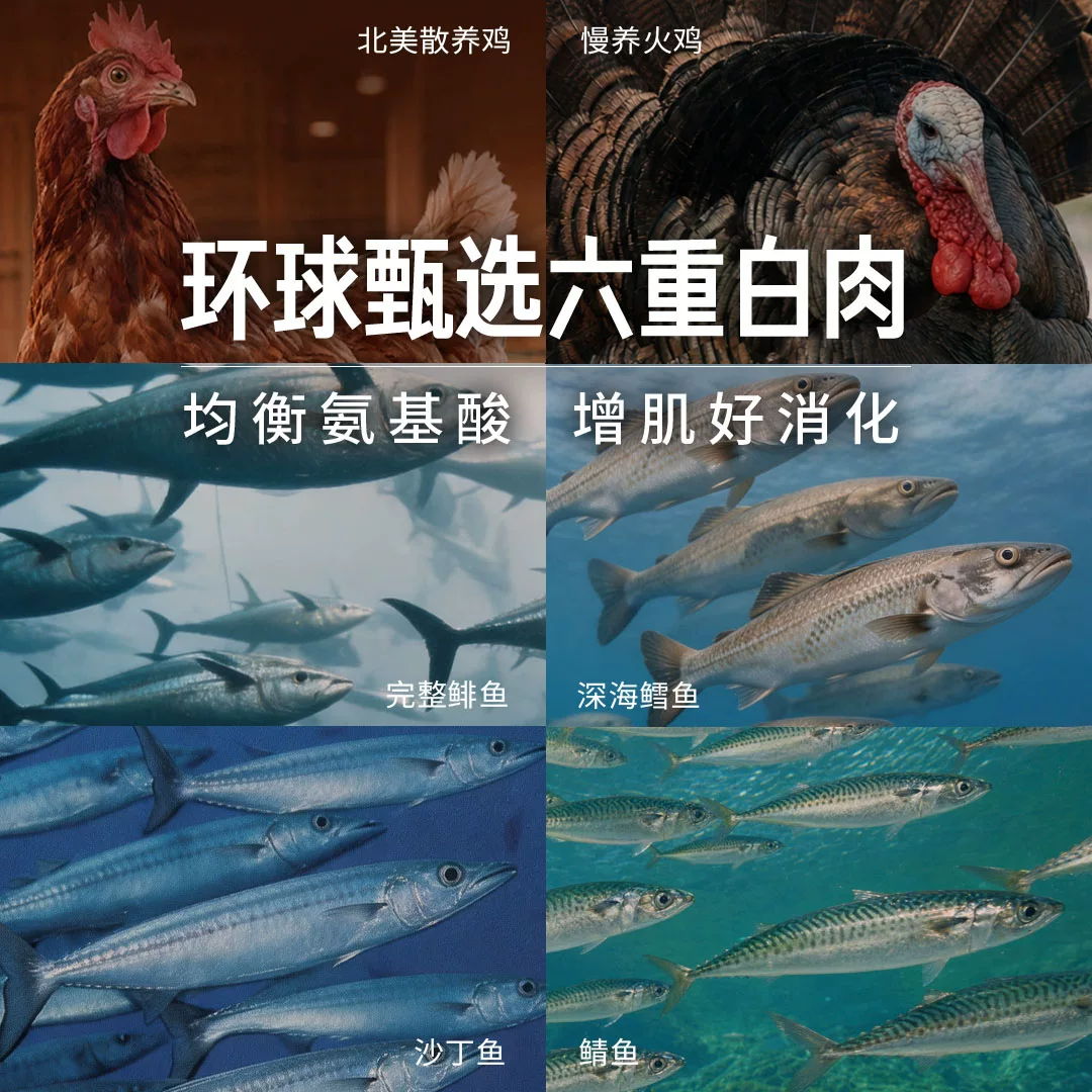 Orijen渴望原始猎食渴望猫粮成幼猫粮原味鸡肉猫粮5.4kg 405.59元 - 86线报 Orijen渴望原始猎食渴望猫粮成幼猫粮原味鸡肉猫粮5.4kg 405.59元 - 86线报