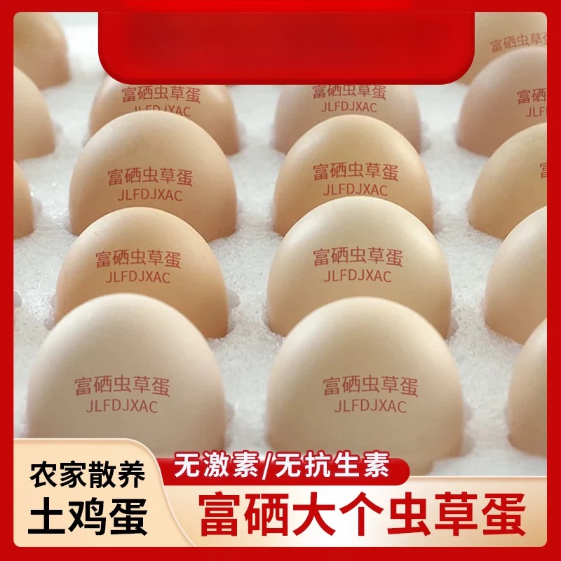 东东蛋富硒鲜鸡蛋30枚单枚50g左右产地直发品质鲜蛋30枚 18.9元 - 86线报