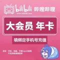 再降价：哔哩哔哩大会员12个月 年卡 不支持电视 84.9元 图片 1