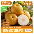 京鲜生 山东冰糖秋月梨净重8斤 单果300g+ 生鲜水果 源头直发 券后27.9元 图片 1