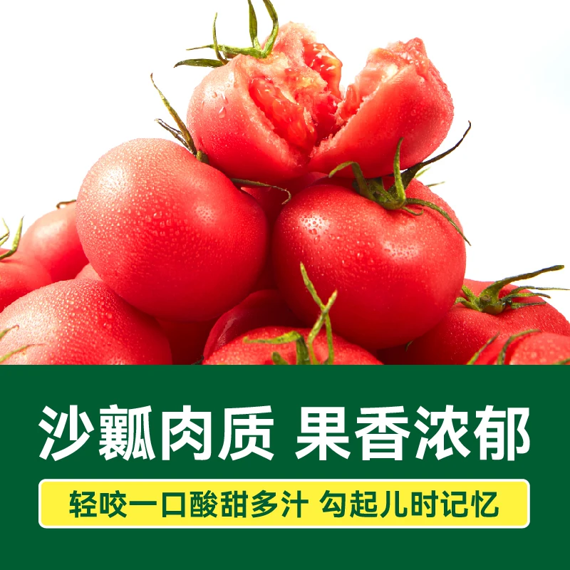 绿行者沙瓤粉番茄新鲜水果蔬菜1500克整箱装 16.25元 - 线报酷